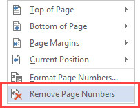 انتخاب گزینه Remove Page Numbers