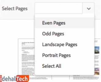 چگونه در فایل PDF صفحه حذف کنیم