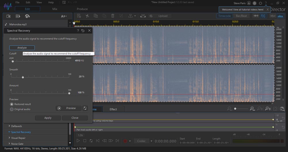برنامه CyberLink AudioDirector نسخه دسکتاب برای بی کلام کردن آهنگ